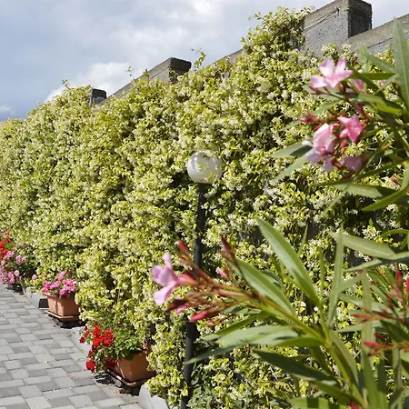 Bed & Breakfast Mister Etna 3*