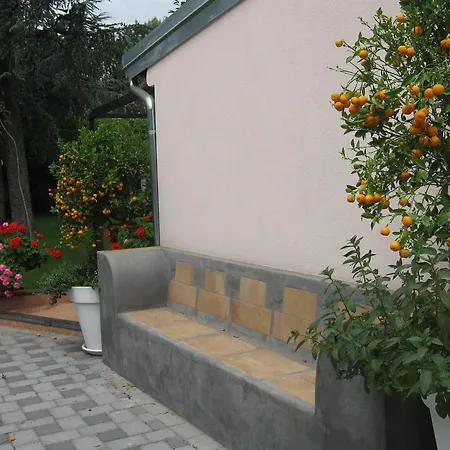 Bed & Breakfast Mister Etna Mascalucia