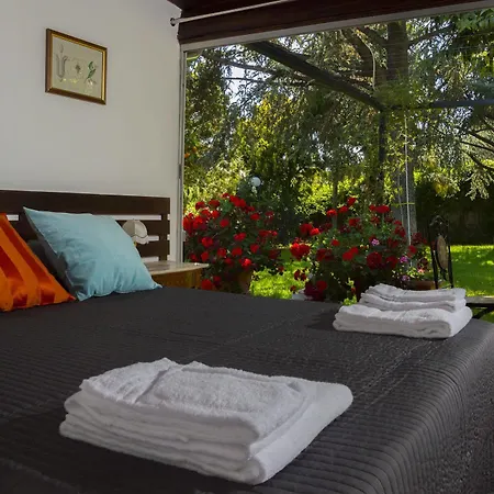 Mister Etna Bed & Breakfast Mascalucia
