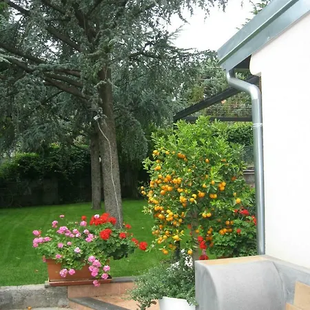Mister Etna Bed & Breakfast